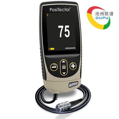 PosiTector 6000Ϳ������